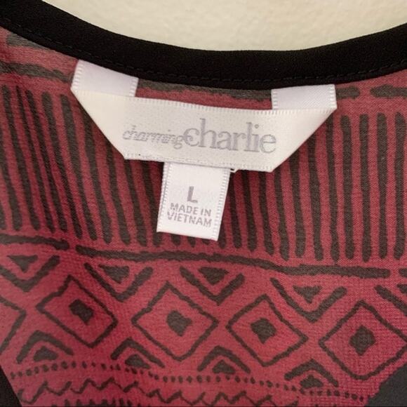 NWT Charming Charlie's Hi-Lo Boho Chiffon Tunic Top Large - Picture 2 of 6